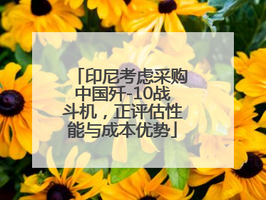 印尼考虑采购中国歼-10战斗机，正评估性能与成本优势