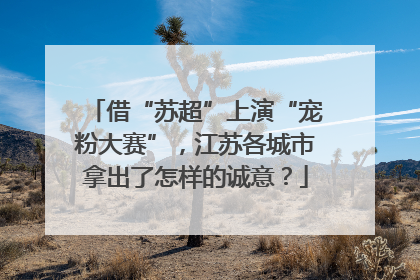 借“苏超”上演“宠粉大赛”，江苏各城市拿出了怎样的诚意？