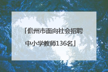 儋州市面向社会招聘中小学教师136名