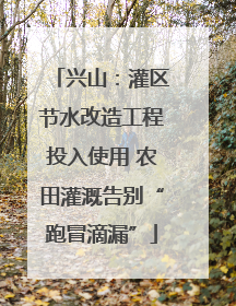兴山：灌区节水改造工程投入使用 农田灌溉告别“跑冒滴漏”