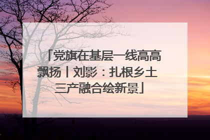 党旗在基层一线高高飘扬丨刘影：扎根乡土 三产融合绘新景