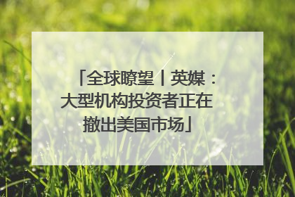 全球瞭望丨英媒：大型机构投资者正在撤出美国市场