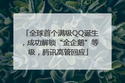 全球首个满级QQ诞生，成功解锁“金企鹅”等级，腾讯高管回应