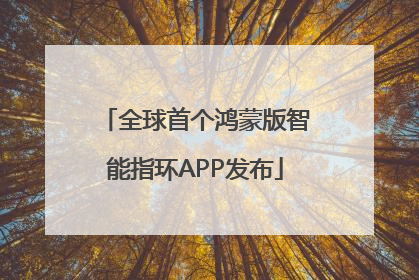 全球首个鸿蒙版智能指环APP发布