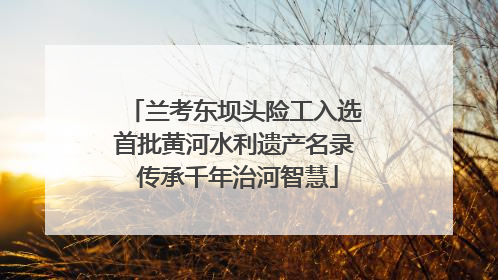 兰考东坝头险工入选首批黄河水利遗产名录 传承千年治河智慧