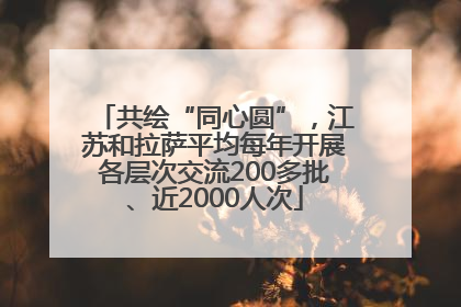 共绘“同心圆”，江苏和拉萨平均每年开展各层次交流200多批、近2000人次