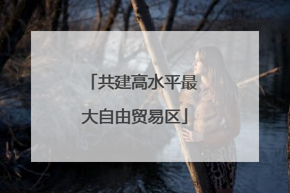 共建高水平最大自由贸易区