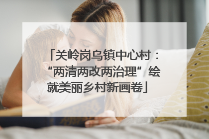 关岭岗乌镇中心村：“两清两改两治理”绘就美丽乡村新画卷