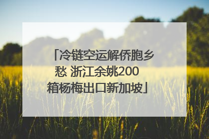 冷链空运解侨胞乡愁 浙江余姚200箱杨梅出口新加坡