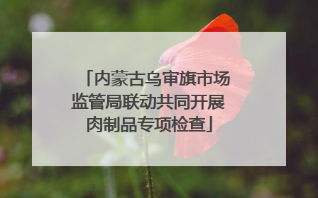 内蒙古乌审旗市场监管局联动共同开展肉制品专项检查