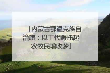 内蒙古鄂温克族自治旗：以工代赈托起农牧民增收梦