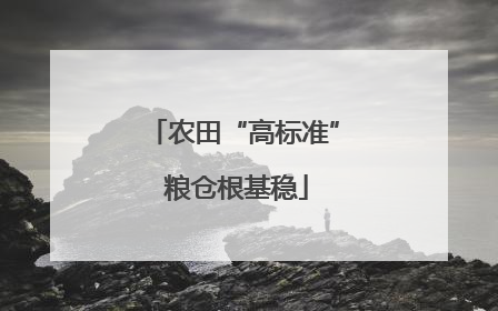 农田“高标准” 粮仓根基稳