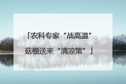 农科专家“战高温” 菇棚送来“清凉策”