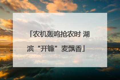 农机轰鸣抢农时 湖滨“开镰”麦飘香