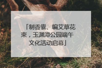 制香囊、编艾草花束，玉渊潭公园端午文化活动启幕