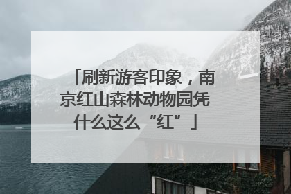 刷新游客印象，南京红山森林动物园凭什么这么“红”