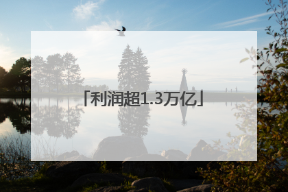 利润超1.3万亿