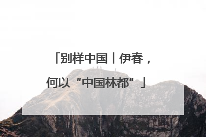 别样中国丨伊春，何以“中国林都”