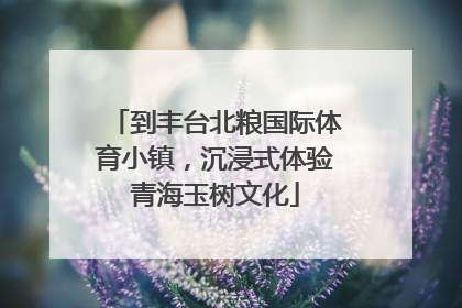 到丰台北粮国际体育小镇，沉浸式体验青海玉树文化
