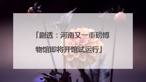 剧透：河南又一重磅博物馆即将开馆试运行