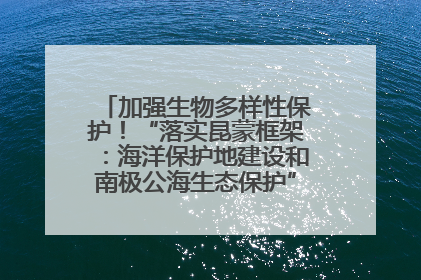 加强生物多样性保护！“落实昆蒙框架：海洋保护地建设和南极公海生态保护”主题论坛将举办
