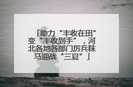 助力“丰收在田”变“丰收到手”，河北各地各部门厉兵秣马迎战“三夏”