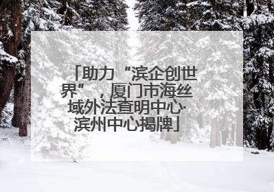 助力“滨企创世界”，厦门市海丝域外法查明中心·滨州中心揭牌