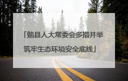 勉县人大常委会多措并举筑牢生态环境安全底线