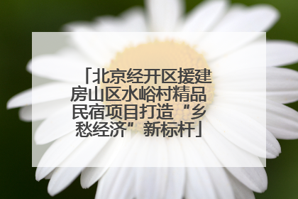 北京经开区援建房山区水峪村精品民宿项目打造“乡愁经济”新标杆
