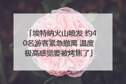 埃特纳火山喷发 约40名游客紧急撤离 温度极高感觉要被烤焦了