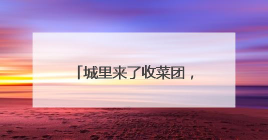 城里来了收菜团，我花三小时赶去山里串门，带回一群七旬村民的心愿