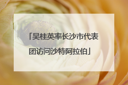 吴桂英率长沙市代表团访问沙特阿拉伯
