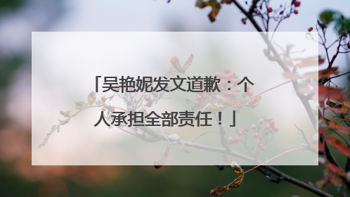 吴艳妮发文道歉：个人承担全部责任！