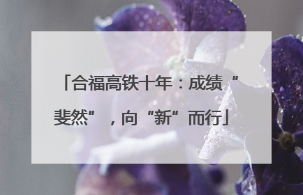 合福高铁十年：成绩“斐然”，向“新”而行