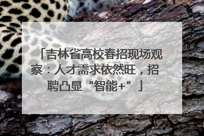 吉林省高校春招现场观察：人才需求依然旺，招聘凸显“智能+”