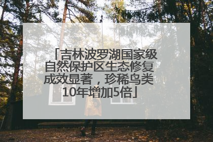 吉林波罗湖国家级自然保护区生态修复成效显著，珍稀鸟类10年增加5倍