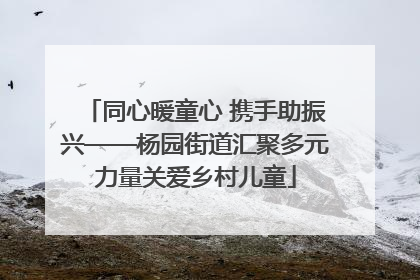 同心暖童心 携手助振兴——杨园街道汇聚多元力量关爱乡村儿童