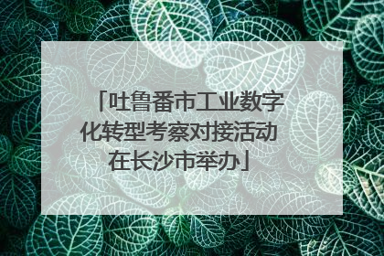吐鲁番市工业数字化转型考察对接活动在长沙市举办