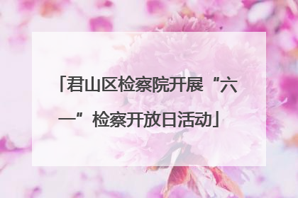 君山区检察院开展“六一”检察开放日活动