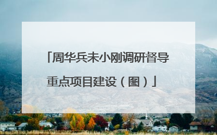 周华兵未小刚调研督导重点项目建设（图）