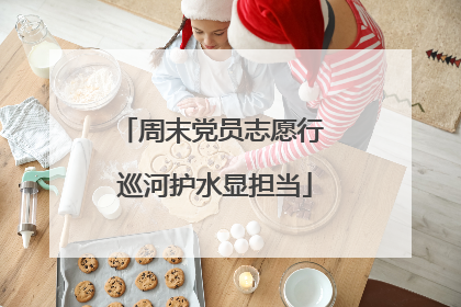 周末党员志愿行 巡河护水显担当