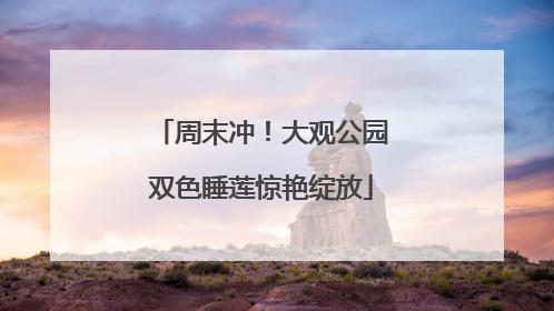 周末冲！大观公园双色睡莲惊艳绽放