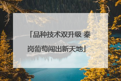 品种技术双升级 秦岗葡萄闯出新天地