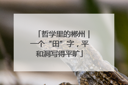 哲学里的郴州｜一个“田”字，平和洞写得平旷