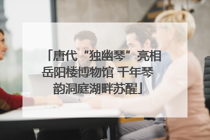 唐代“独幽琴”亮相岳阳楼博物馆 千年琴韵洞庭湖畔苏醒