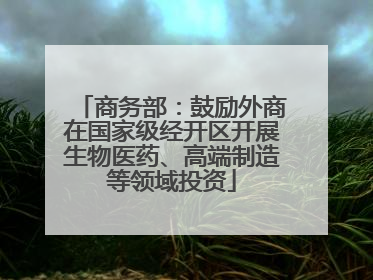 商务部：鼓励外商在国家级经开区开展生物医药、高端制造等领域投资
