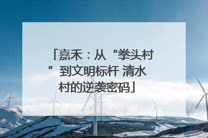 嘉禾：从“拳头村”到文明标杆 清水村的逆袭密码