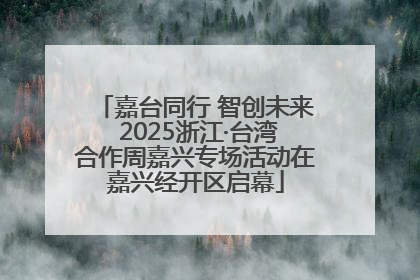 嘉台同行 智创未来 2025浙江·台湾合作周嘉兴专场活动在嘉兴经开区启幕