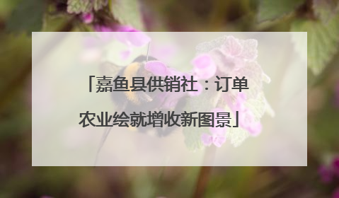 嘉鱼县供销社：订单农业绘就增收新图景