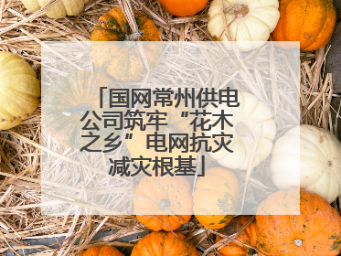 国网常州供电公司筑牢“花木之乡”电网抗灾减灾根基